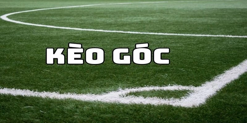 Mẹo Đánh Kèo Phạt Góc Thông Minh Giúp Sinh Lời Bền Vững